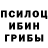 Галлюциногенные грибы мицелий Sabina Damirova