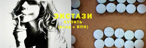 дмт Бородино