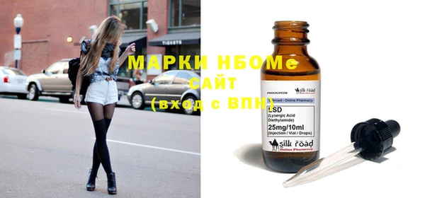 дмт Бородино