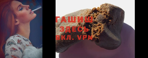 дмт Бородино