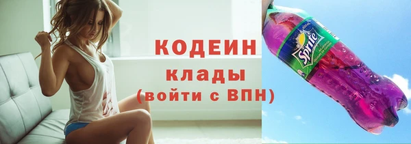 дмт Бородино