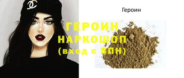 дмт Бородино