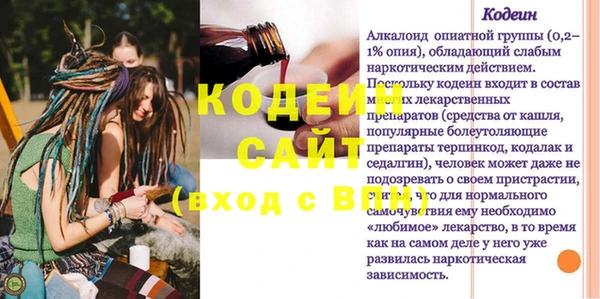 дмт Бородино