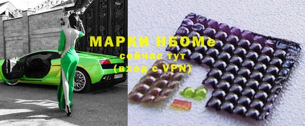 дмт Бородино