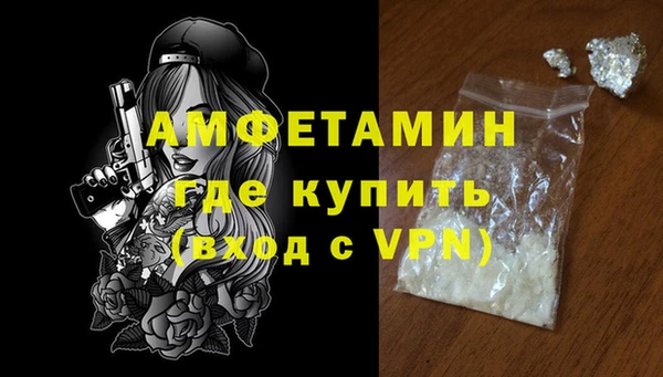 дмт Бородино