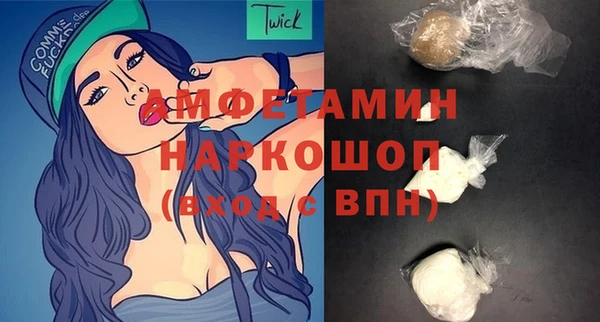 дмт Бородино