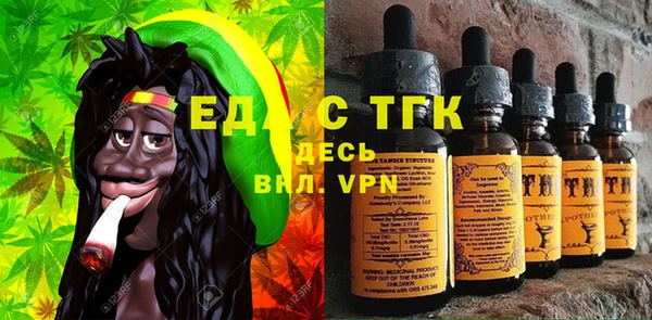 дмт Бородино