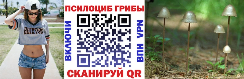 Галлюциногенные грибы мицелий  Купить  Южноуральск 